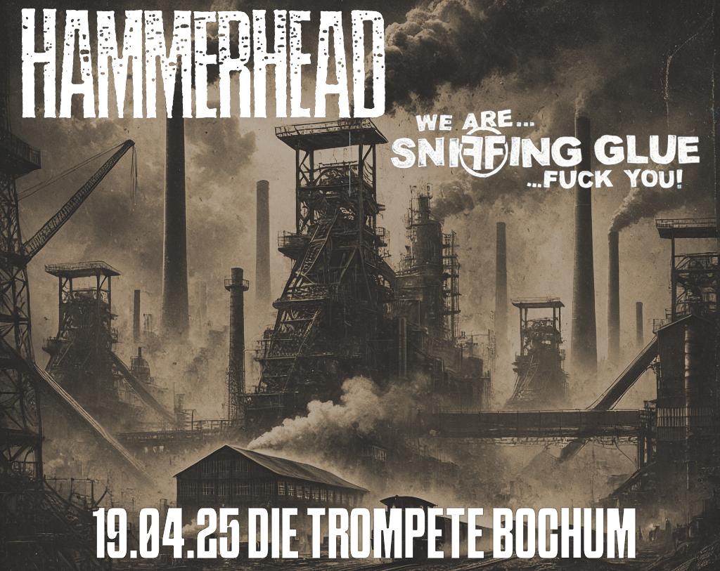 HAMMERHEAD & SNIFFING GLUE - live